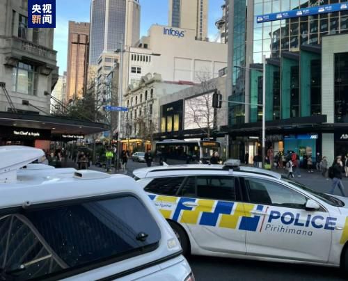 国产视频一区二区在线播放