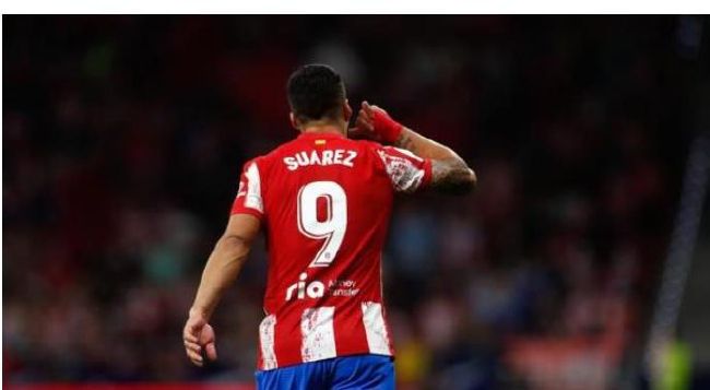 青青国产在线观看